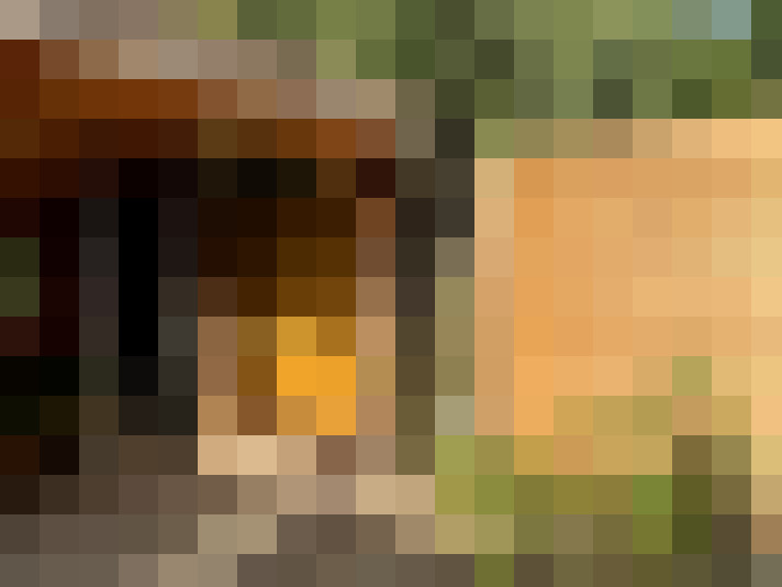 Image 31