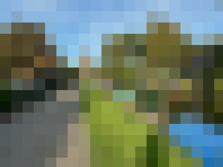 Image 43