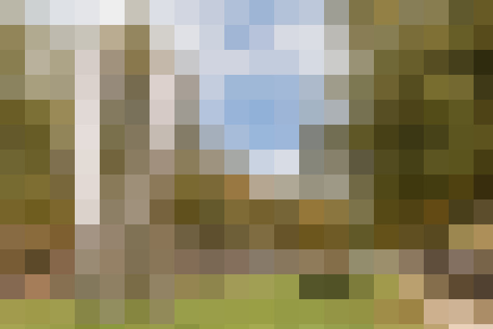 Image 23