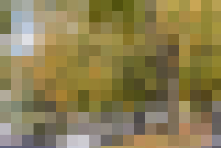 Image 20
