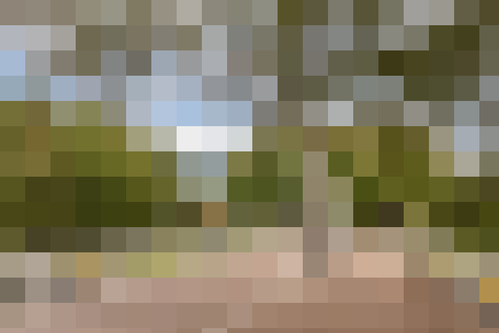Image 22