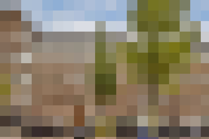 Image 24