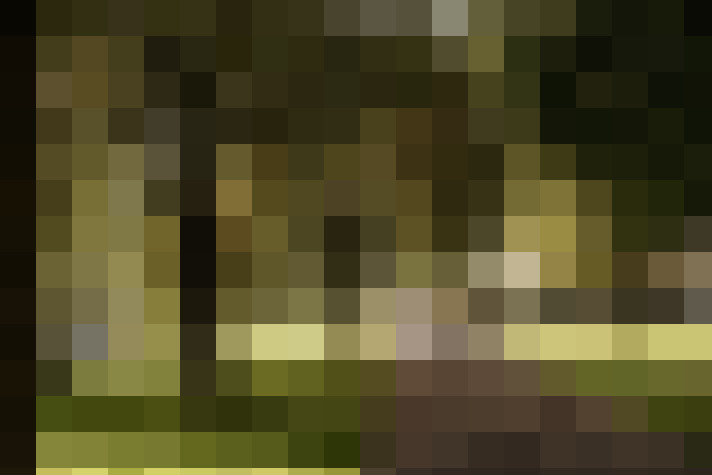 Image 40