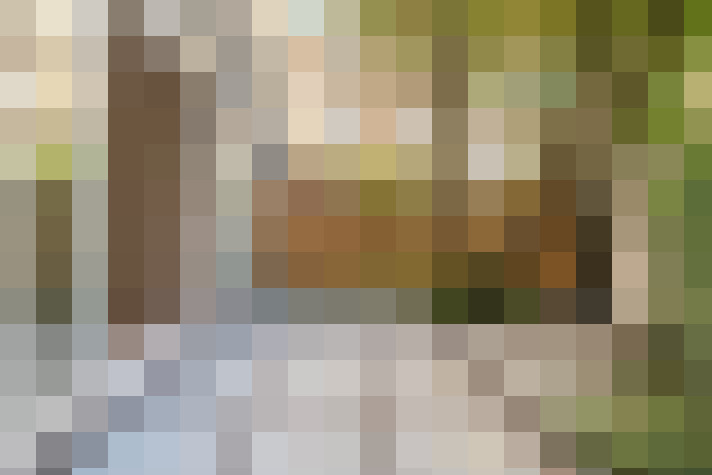 Image 20