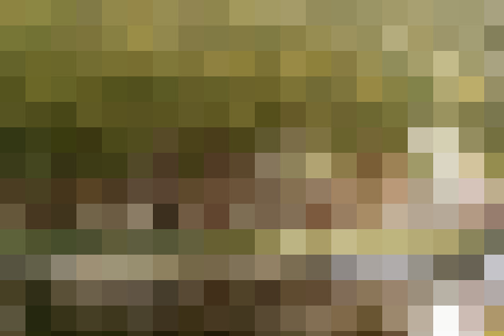 Image 36