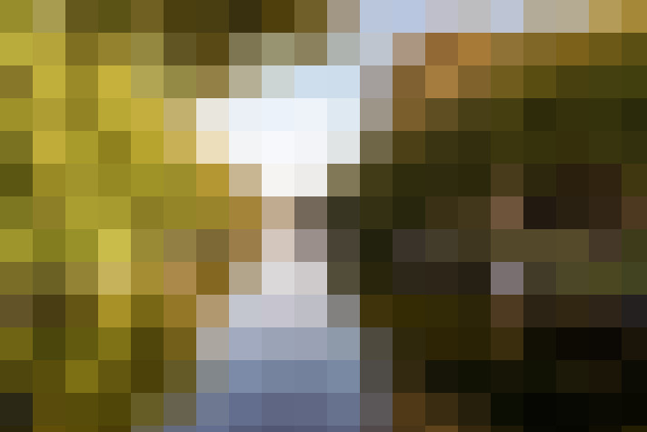 Image 33