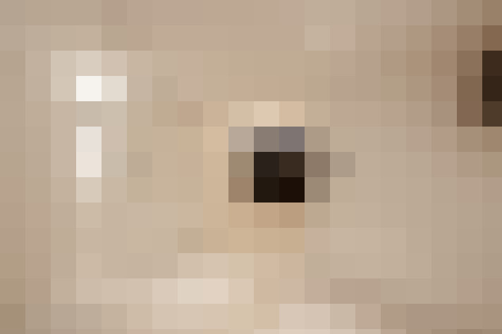 Image 29