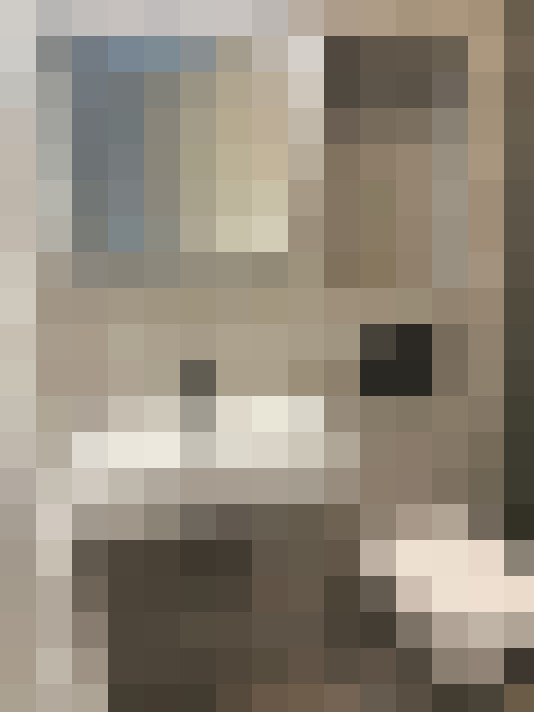 Image 13
