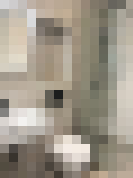 Image 14