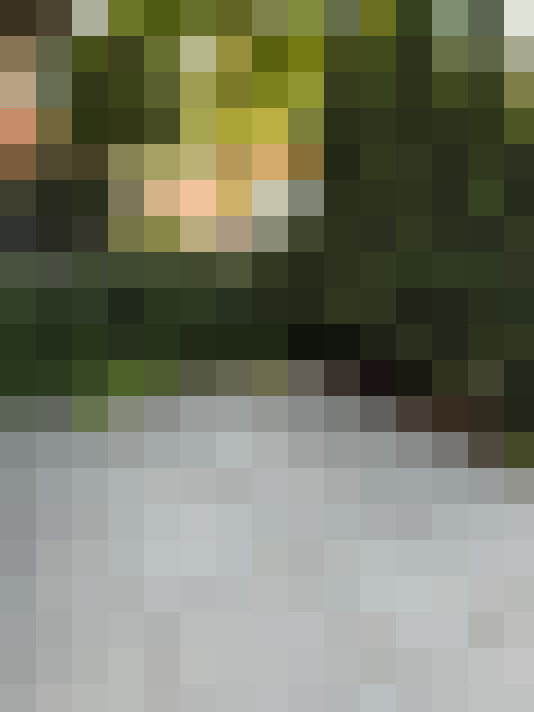 Image 23