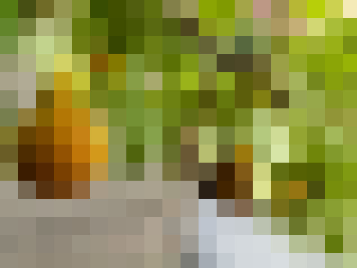 Image 24