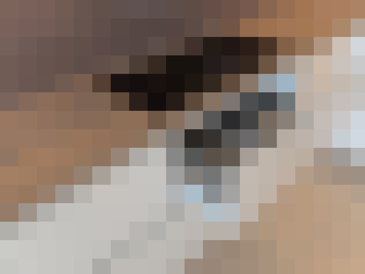 Image 17