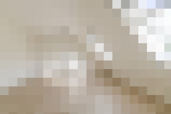 Image 20