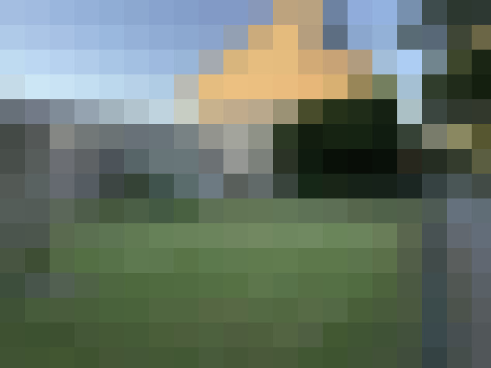 Image 28