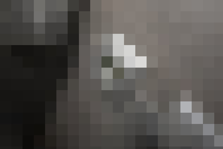 Image 23
