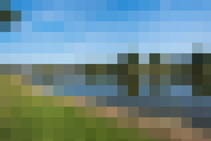 Image 31