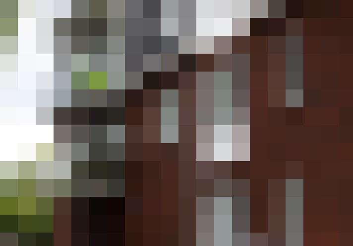 Image 43