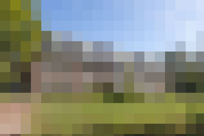 Image 23