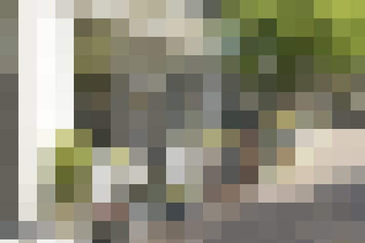 Image 31