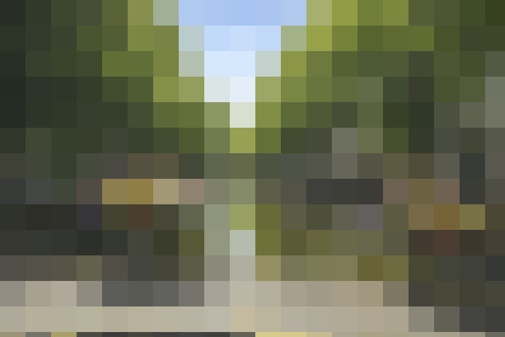 Image 33