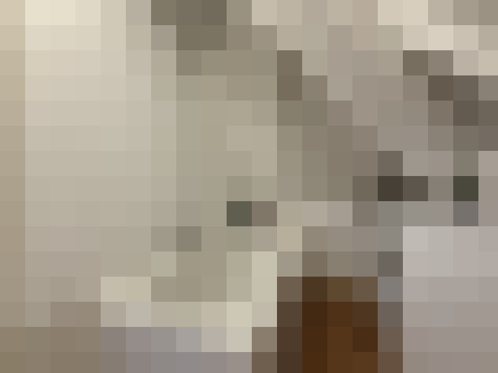 Image 13