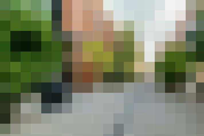 Image 31