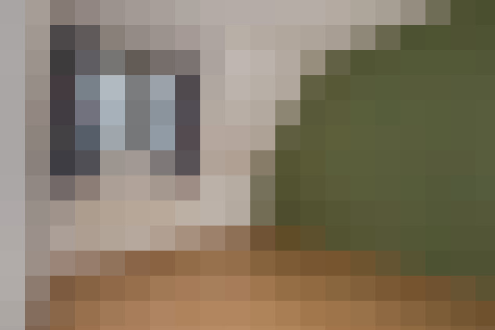 Image 17