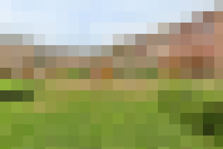 Image 32