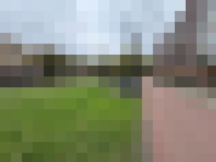 Image 14