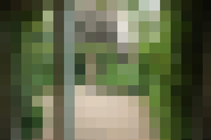 Image 18