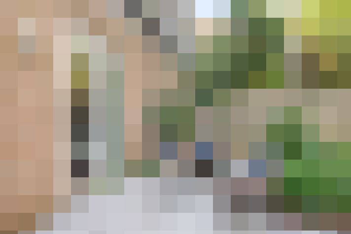 Image 20