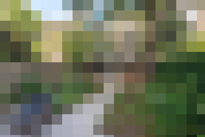 Image 16