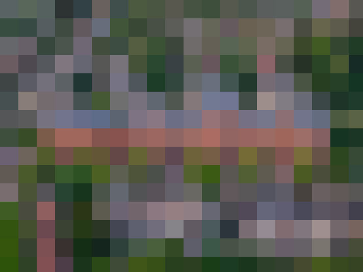 Image 24