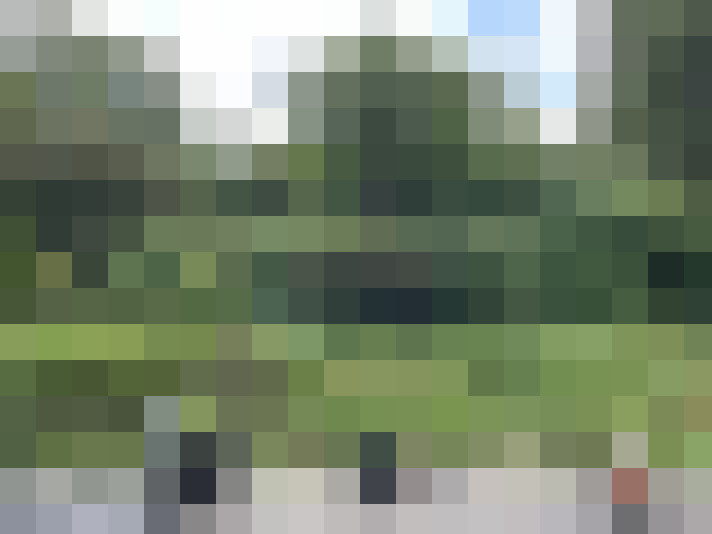 Image 15