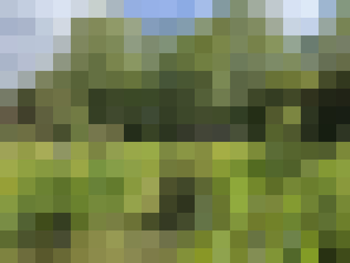 Image 16