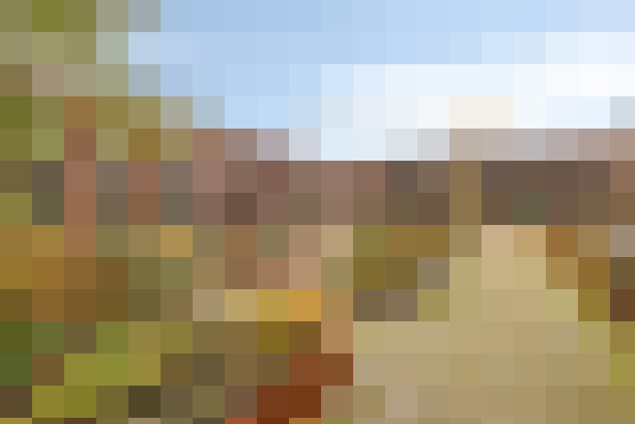 Image 30