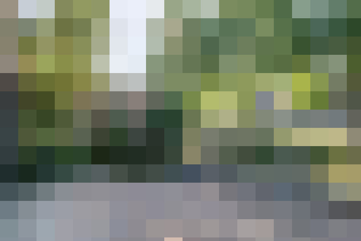 Image 33