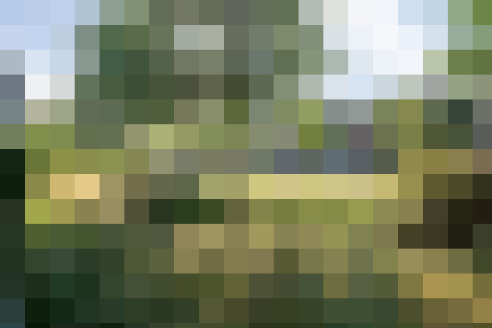 Image 48