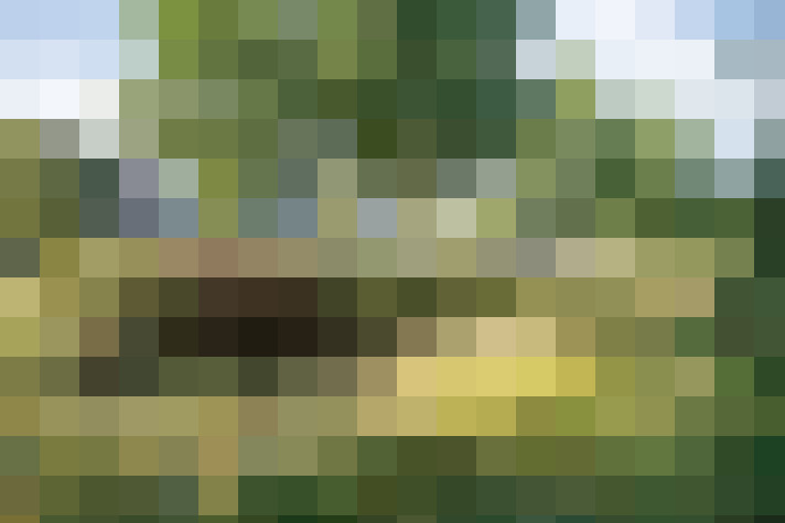 Image 49