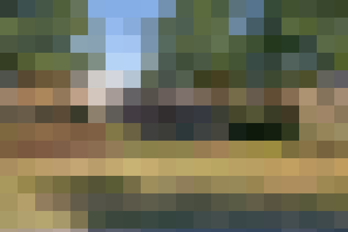 Image 43