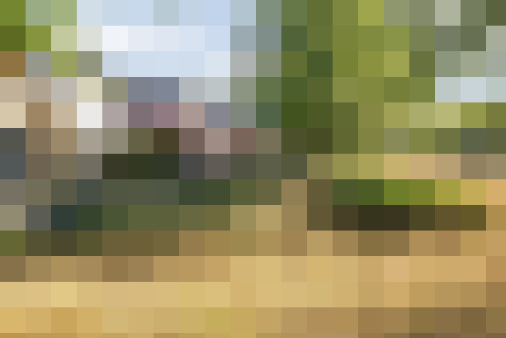 Image 44