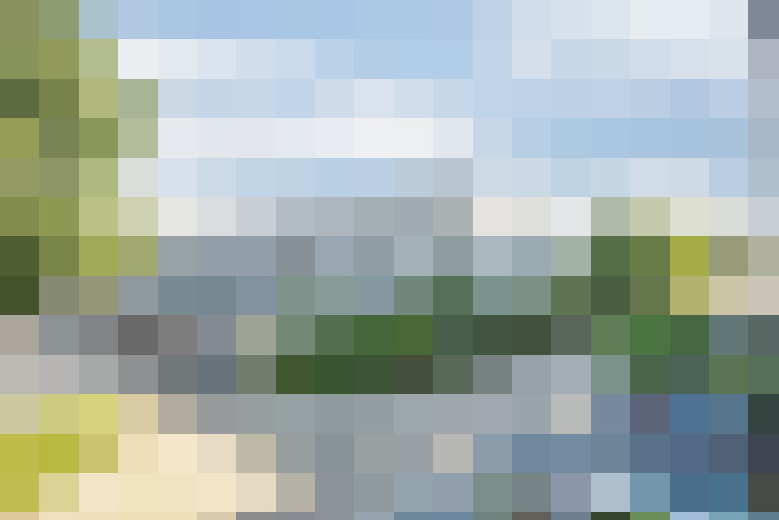 Image 50