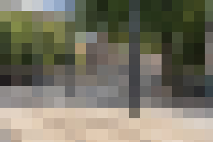 Image 24