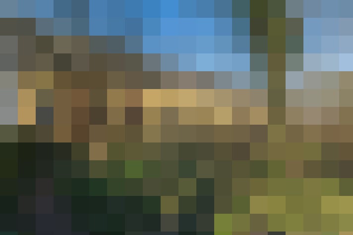 Image 14