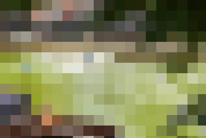 Image 32