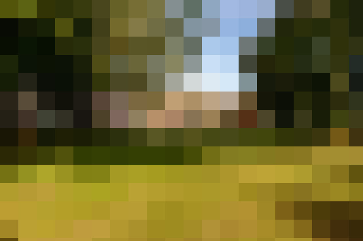 Image 29