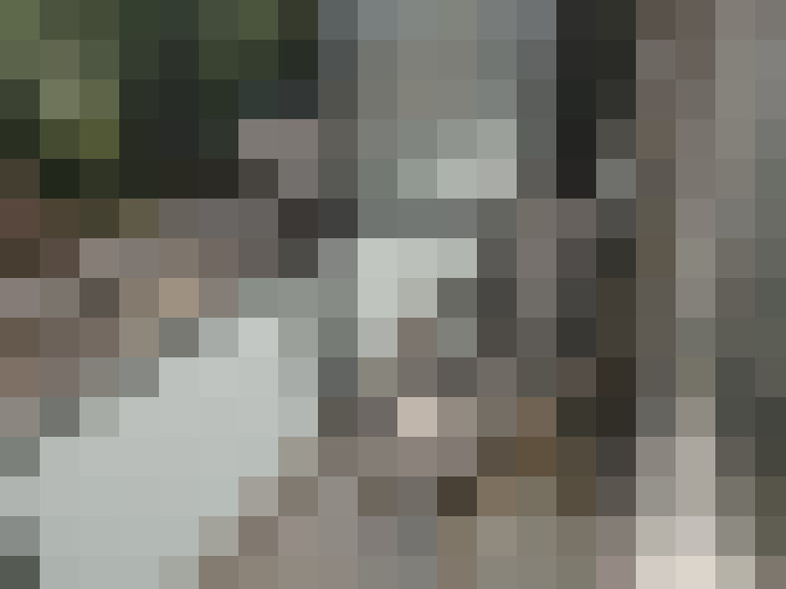 Image 17