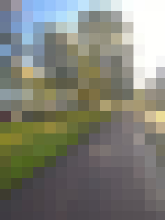 Image 23