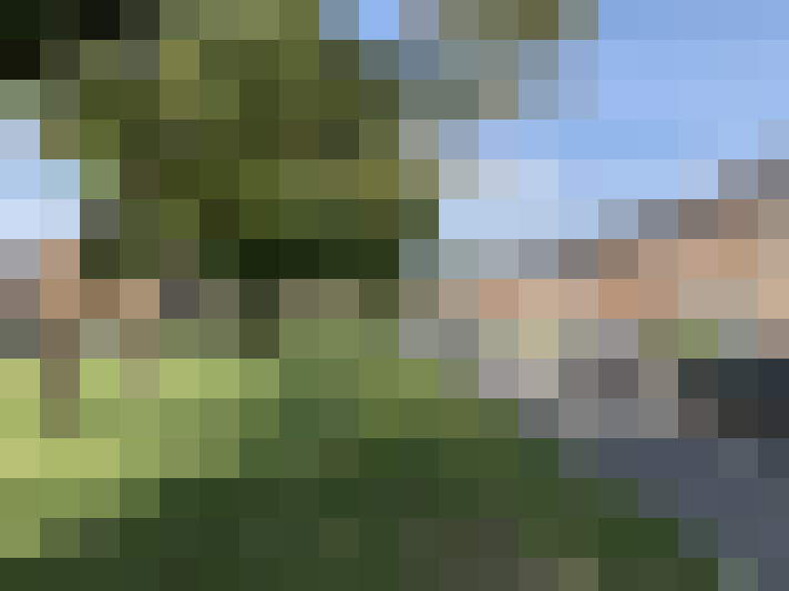 Image 32