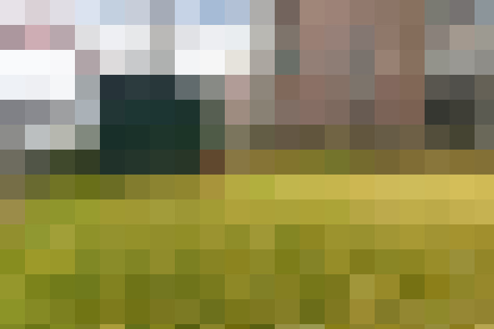 Image 22
